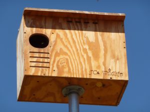 Barn owl box at Wolff Vineyards